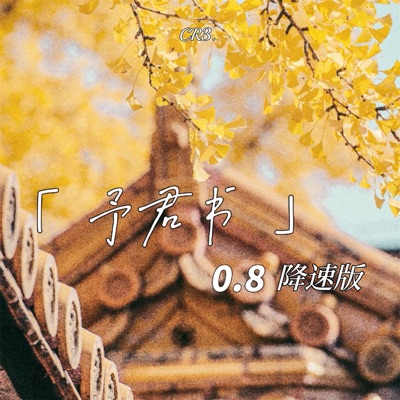 予君书 (0.8降速版) - Single