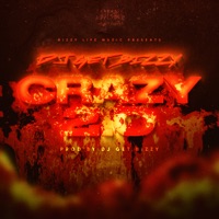 Crazy 2.0 - Single - DJ Get Bizzy & DJ Jayhood