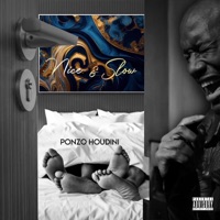 Nice & Slow - Single - Ponzo Houdini