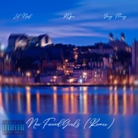 NewFoundGirls (feat. R0gue & Young Flurry) [Remix] - Single - Lil Newf