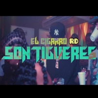 Son Tiguere (feat. El Cigarro RD) - Single - NJM Music Record