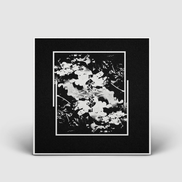 Beyond the Beat - EP
