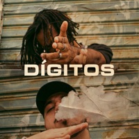 Dígitos (feat. Ak7rman) - Single - Badaion