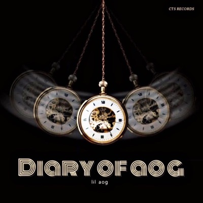 Mr.wixkeddd chapter 4 : "diary of aog"