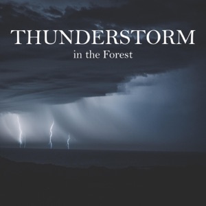 Thunderstorm in the Forest