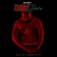 Turnt Slave - Single - Sir Sheez