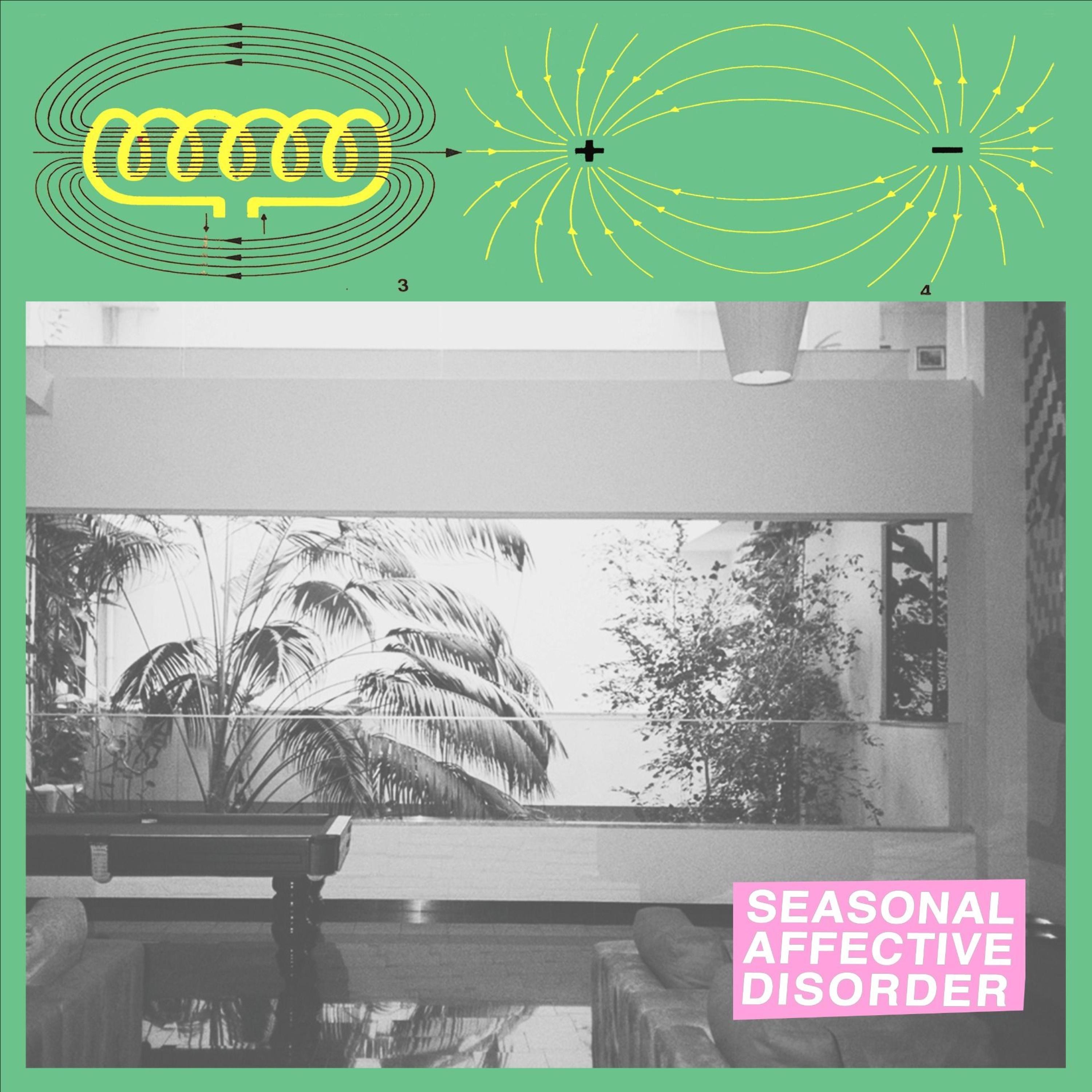 Seasonal Affective Disorder - Single