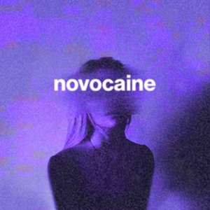 Chord Gitar Novocaine (Rough) - Shiloh Dynasty