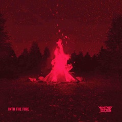 Into the Fire - Single