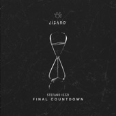 Final Countdown (Radio Edit) artwork