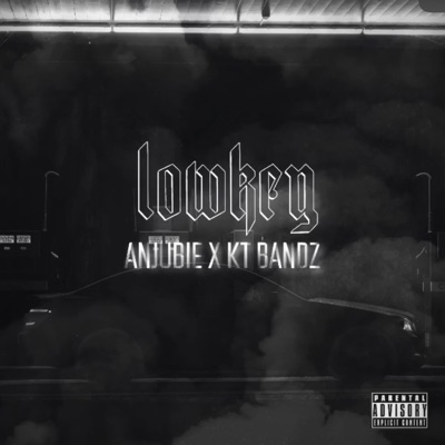 Lowkey (feat. KT BANDS) [Radio Edit] [Radio Edit] - Single