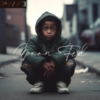 Spoon Fed - Single - Alphanso