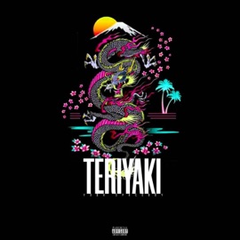 Teriyaki (feat. Spaceboy) Wavyoda