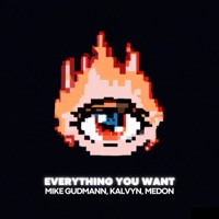 Everything You Want - Single - Mike Gudmann, KALVYN & Medon