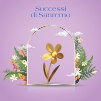 Polvere