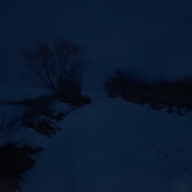 Fear (Live) whitenxght