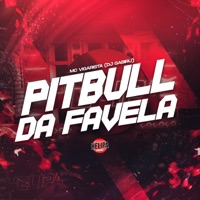 Pitbull da Favela - Single - Mc Vigarista & DJ Gabiru