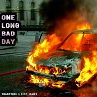 One Long Bad Day (feat. Toadstool) - Single - Rico James