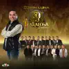 Edwin Luna y La Trakalosa de Monterrey - Borracho de Amor