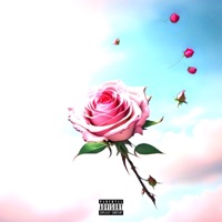 Thanks Danielle - EP - Phaze Marino