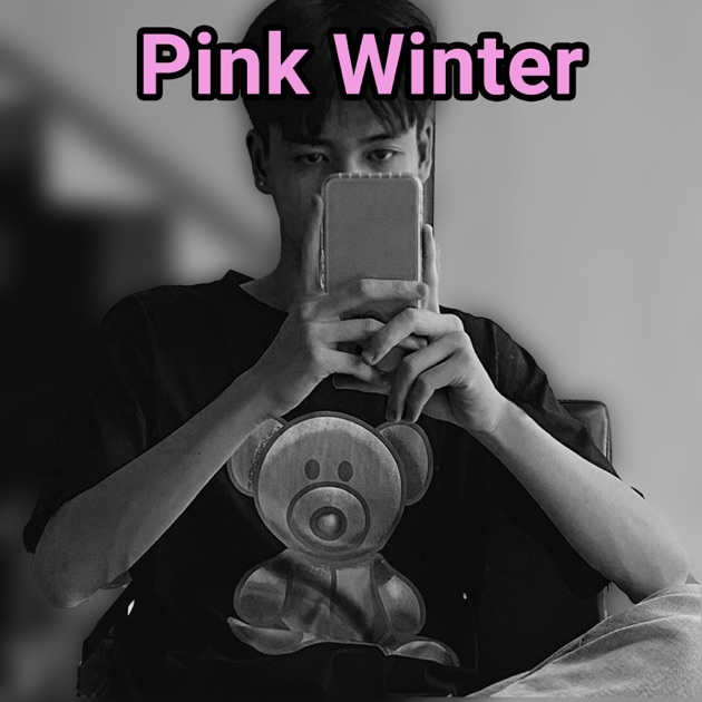 Pink Winter - Single - DatVuxITのアルバム - Apple Music