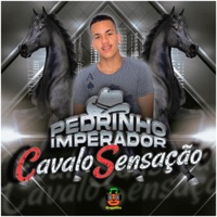 Cavalo Sensação - Single - Pedrinho Imperador & GrajaHits