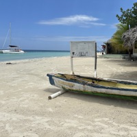 Bad Bitch Summer Mix (DJ Mix) - Adi Oasis