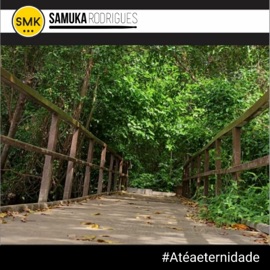 Não Posso Me Calar (feat. Daniel Almeida) Samuka Rodrigues