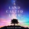 Beautiful Distraction (feat. Justin Lyons) - Claudia Melton lyrics