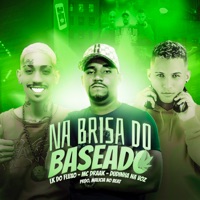 Na Brisa do Baseado (feat. Dudinha na Voz) - Single - LK do Fluxo & Mc Draak