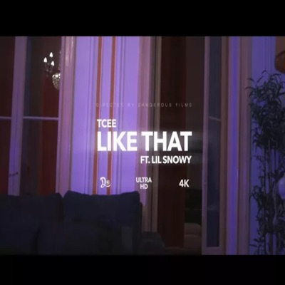 Like That (feat. TCee & Lil Snowy) - Single
