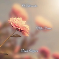 Mãe Divina - Single - O Testemunho