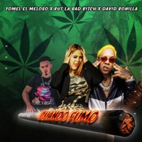 Cuando Fumo (feat. Yomel El Meloso & David Bonilla) - Single - Ruth La Bad Bitch