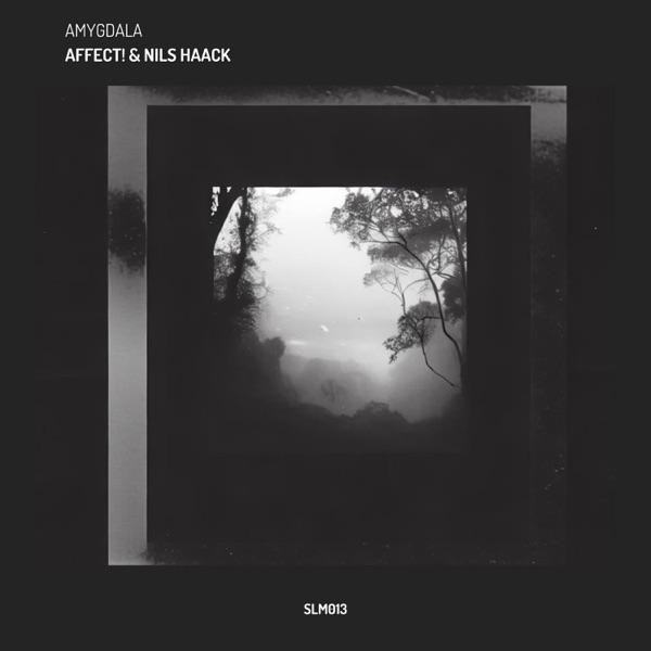 Amygdala - Single