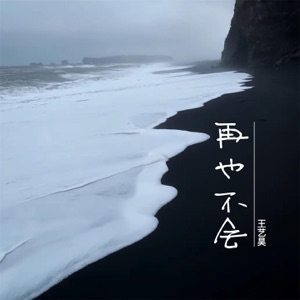 再也不会 - Single