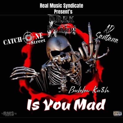 Is You Mad (feat. CatchOne Street, AD Santana & Bubba Ku$h) - Single