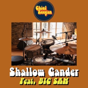 Shallow Gander (feat. Big Sam's Funky Nation) - Single
