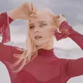 On the Fly