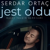 Jest Oldu (Hakkı Yalçın Şarkıları) artwork