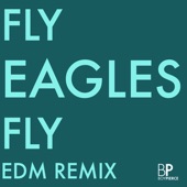Fly Eagles Fly (Edm Remix) artwork