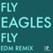 Fly Eagles Fly (Edm Remix) artwork