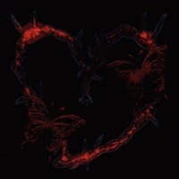 Никогда не полюблю - Single - AQUILA