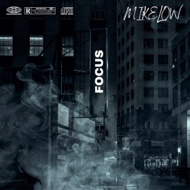 Focus Mike Low