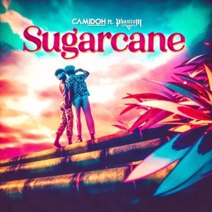 Camidoh - Sugarcane - 排舞 音乐