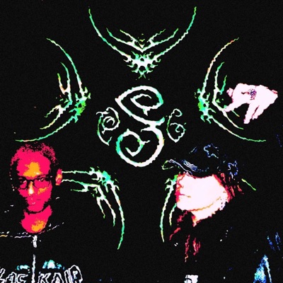 Gone in the Shadows - Single