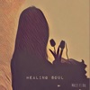 HEALING SOUL (feat. Bol) - Single