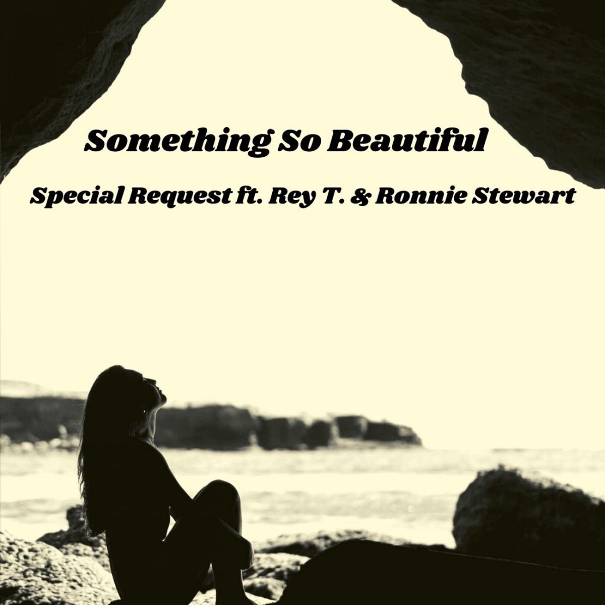 ‎something So Beautiful Feat Rey T And Ronnie Stewart Single Album By Special Request