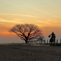 TRAIGO POLVO DEL CAMINO - pasaje en honor a Augusto Bracca - Single - Anabella Mondi