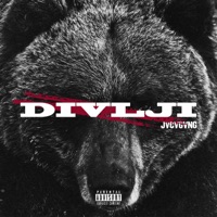 Divlji - Single - Djaz