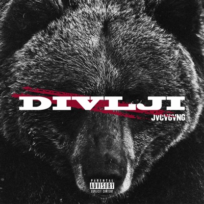 Divlji - Single